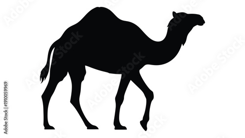 A silhouette of a camel walking, showcasing its distinctive hump and long legs isolated on white background, Vector