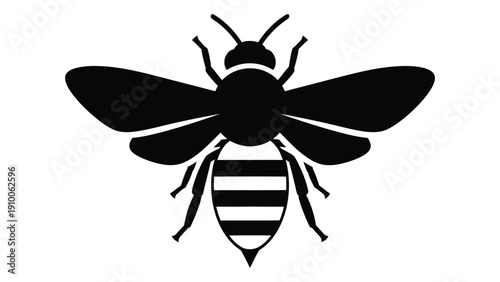 A detailed illustration of a bee showcasing its intricate body structure and wings isolated on white background, Vector