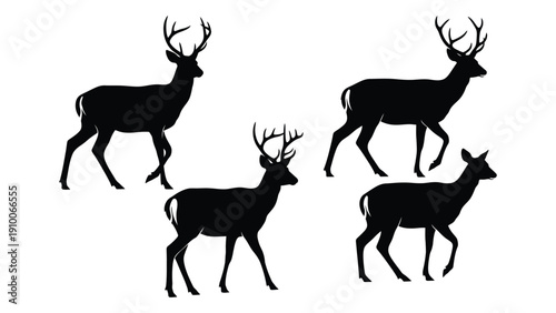 Four deer silhouettes in various poses on a white background isolated on white background, Vector