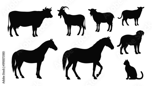 A variety of different animals including a cat, cow, horse, and goat. isolated on white background, Vector