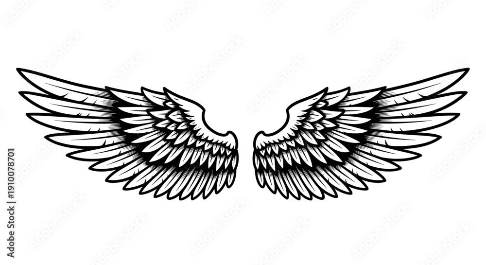 Fototapeta premium Black and White Illustration of Angel Wings.