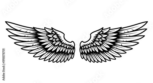 Black and White Illustration of Angel Wings.