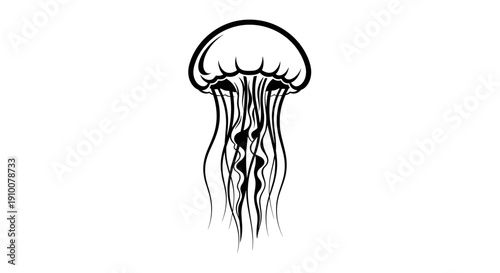 Black and White Illustration of Jellyfish.