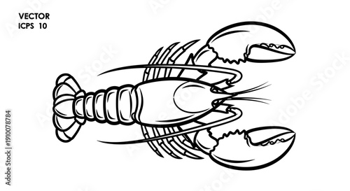 Black and White Illustration of Lobster.