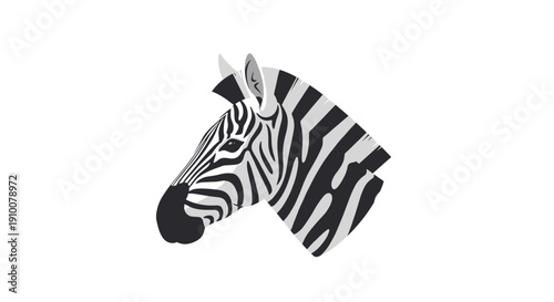 Black and White Zebra Head Portrait.