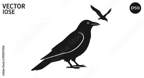 Black Bird Silhouette with Flying Companion.