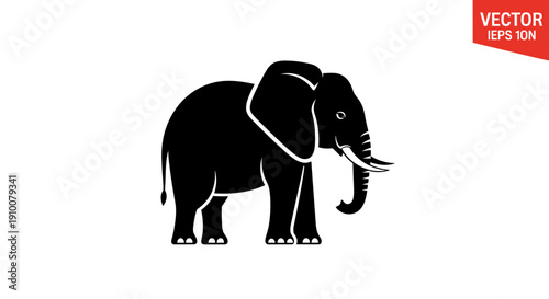 Black Elephant Silhouette Vector Illustration.