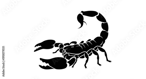 Black Scorpion Silhouette Vector Illustration.