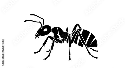 Black Silhouette of an Ant.