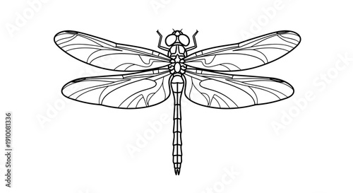 Detailed Black and White Dragonfly Illustration 1.