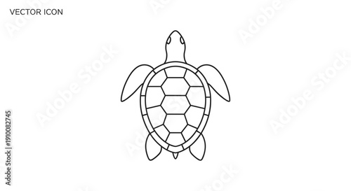 Simple Line Drawing of a Turtle.