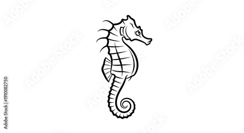 Simple Line Drawing of Seahorse Illustration.