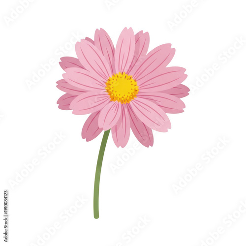 A vibrant pink daisy with a yellow center and green stem isolated on transparent background