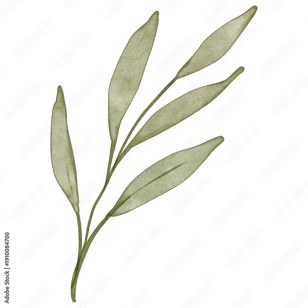 Fototapeta premium Watercolor Green Leaf Branch