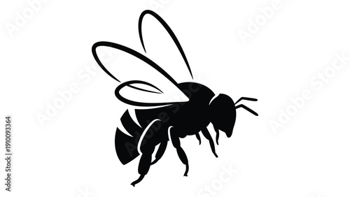A detailed black and white illustration of a bee in flight with wings spread wide. isolated on white background, Vector