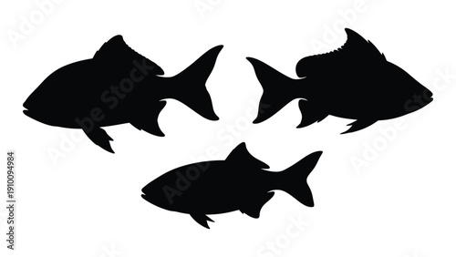 Three distinct fish silhouettes swimming in a circular formation against a white background isolated on white background, Vector