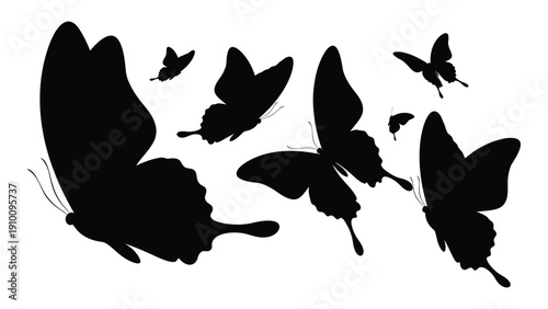 A delicate dance of black butterflies against a stark white background isolated on white background, Vector