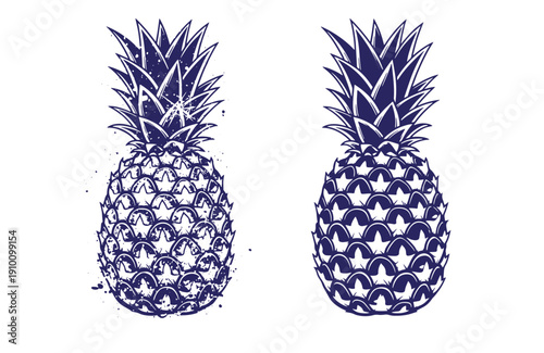 Grunge texture Two blue pineapples with spiky tops and scaly bodies on white background  fruit illustration Vintage Style