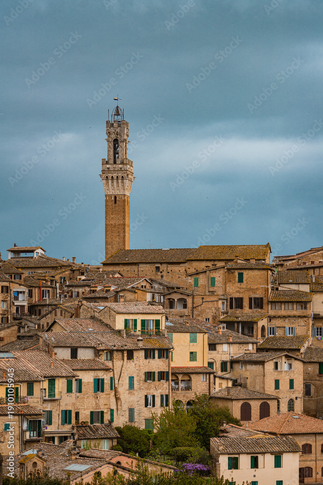 Naklejka premium The cityscape of the Siena City, Italy, on a cloudy day