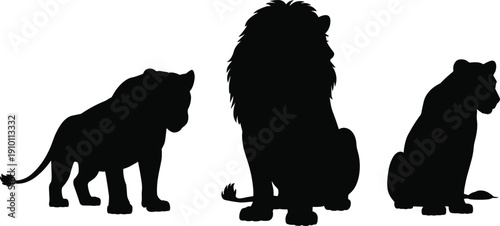 Big cat silhouettes set, lion tiger and leopard wild animal collection, wildlife predator illustration isolated on white background for nature design