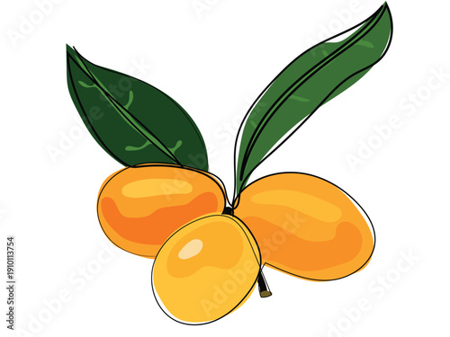 Marian plum in a continuous line drawing format.