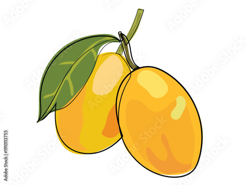 Marian plum in a continuous line drawing format.