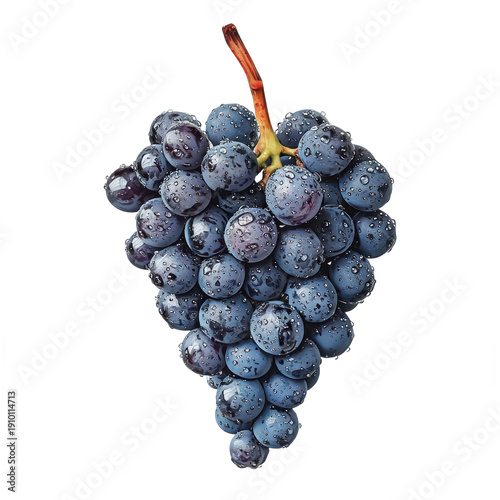 A cluster of grapes, tightly packed together, with dewdrops on the skin. full length isolate on transparent background