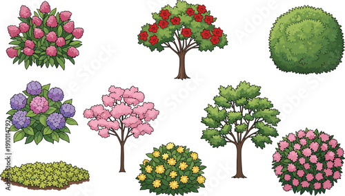 Cartoon garden trees and flowering bushes vector collection, colorful landscaping plants, botanical shrubs, nature greenery elements isolated design set
