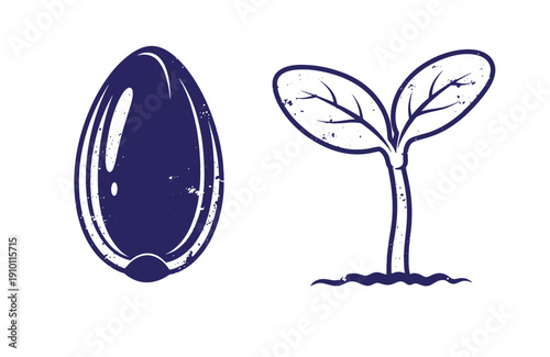 Grunge texture seed and sprout drawing in blue on white background  simple plant growth illustration Vintage Style