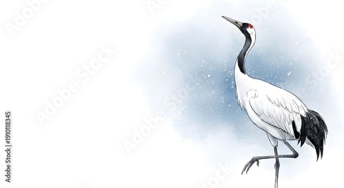 A white and black bird with a long neck and legs