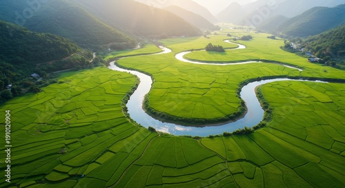柔らかな朝の陽光が広がる緑豊かな棚田を優しく照らし優雅に蛇行する川が生命の輝きを放ちながら静かに流れ遠くの山々が神秘的に霞む息をのむような壮大な自然のパノラマ景色. AI Generated