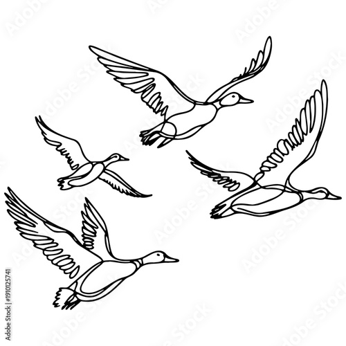 Wild Ducks Flying Line Art.