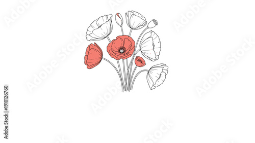 Elegant hand drawn sketch of a delicate poppy flower bouquet with some petals in soft coral red color isolated on a plain white background.