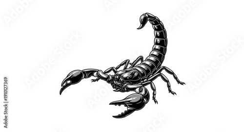 scorpion isolated on white