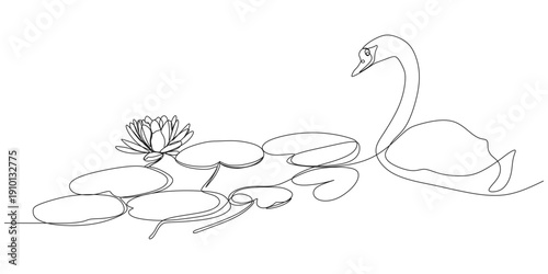 Continuous line illustration of lotus flower and swimming swan, vector design for Vesak Day