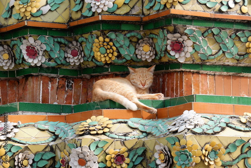 Thailand Cats at Wat Phra Kaew, Temple of the Emerald Buddha