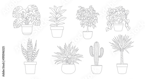 Set of Potted Houseplants Line Art Illustration - Various Plants in Pots