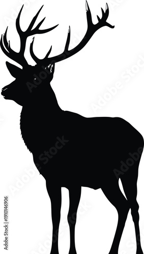 Deer Stag Silhouette with Antlers on White Background