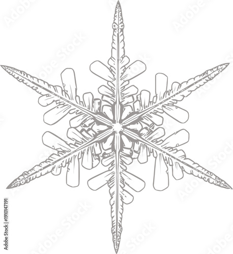 Intricate Snowflake Isolated on White Background