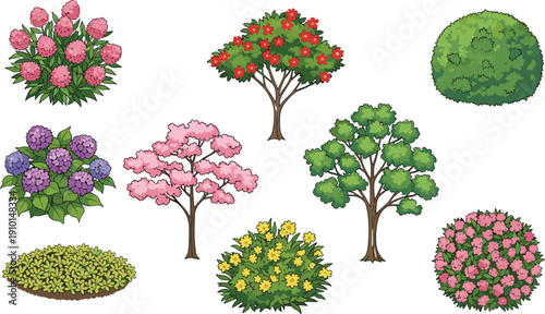Colorful garden trees and flowering bushes vector set, cartoon nature plants collection isolated, landscaping shrubs, botanical greenery design elements