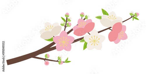 シンプルな源平桃の花枝