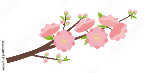 シンプルな八重咲きの桃の花枝