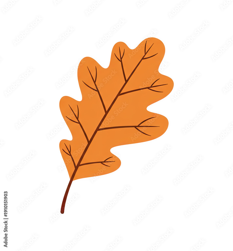 Fototapeta premium Autumn oak leaf in orange color with visible veins and stem