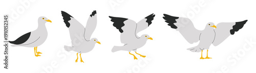 Flying Seagulls in different poses flat style.