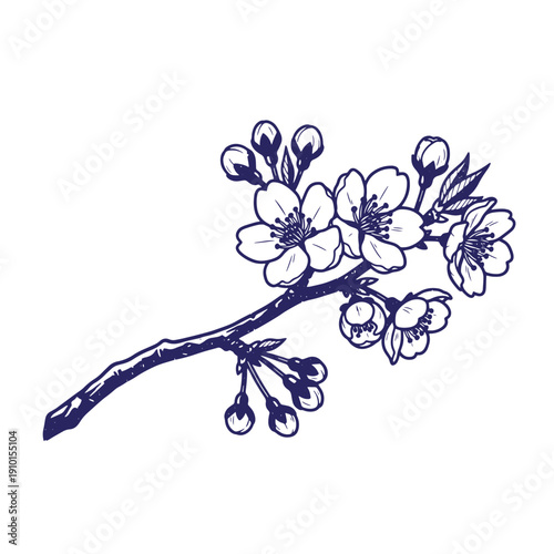 Grunge texture drawing of blue blossoming tree branch with flowers and buds on white background  spring season Vintage Style