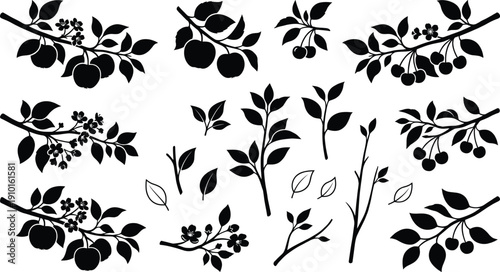 Hand drawn botanical vector silhouettes of fruit tree branches with apples, cherries, blossoms and leaves for natural design elements