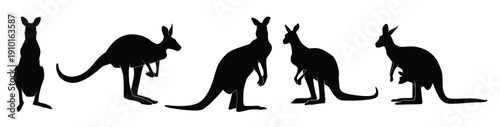  set of kangaroos silhouette isolated on a white background