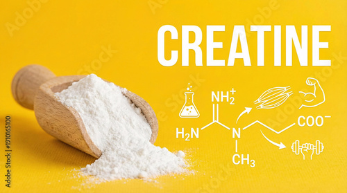 A wooden scoop holds creatine powder with chemical formulas and illustrations on a yellow background