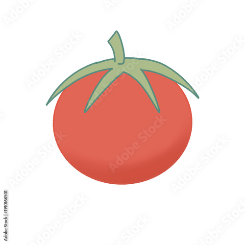 tomato isolated on white
