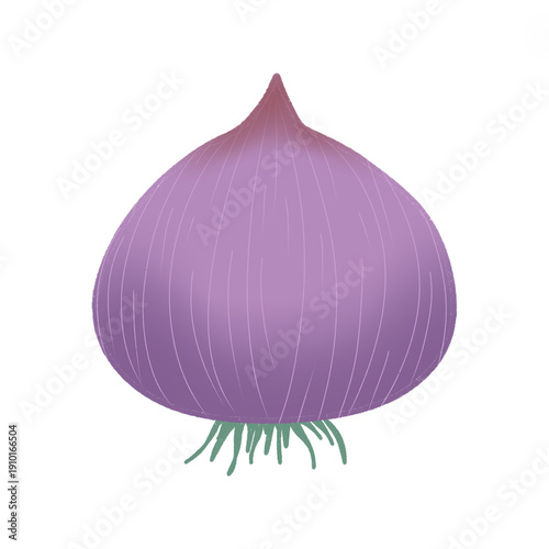 onion isolated on white background